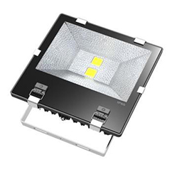 SLFL-C100