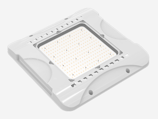 SLGS02-100W