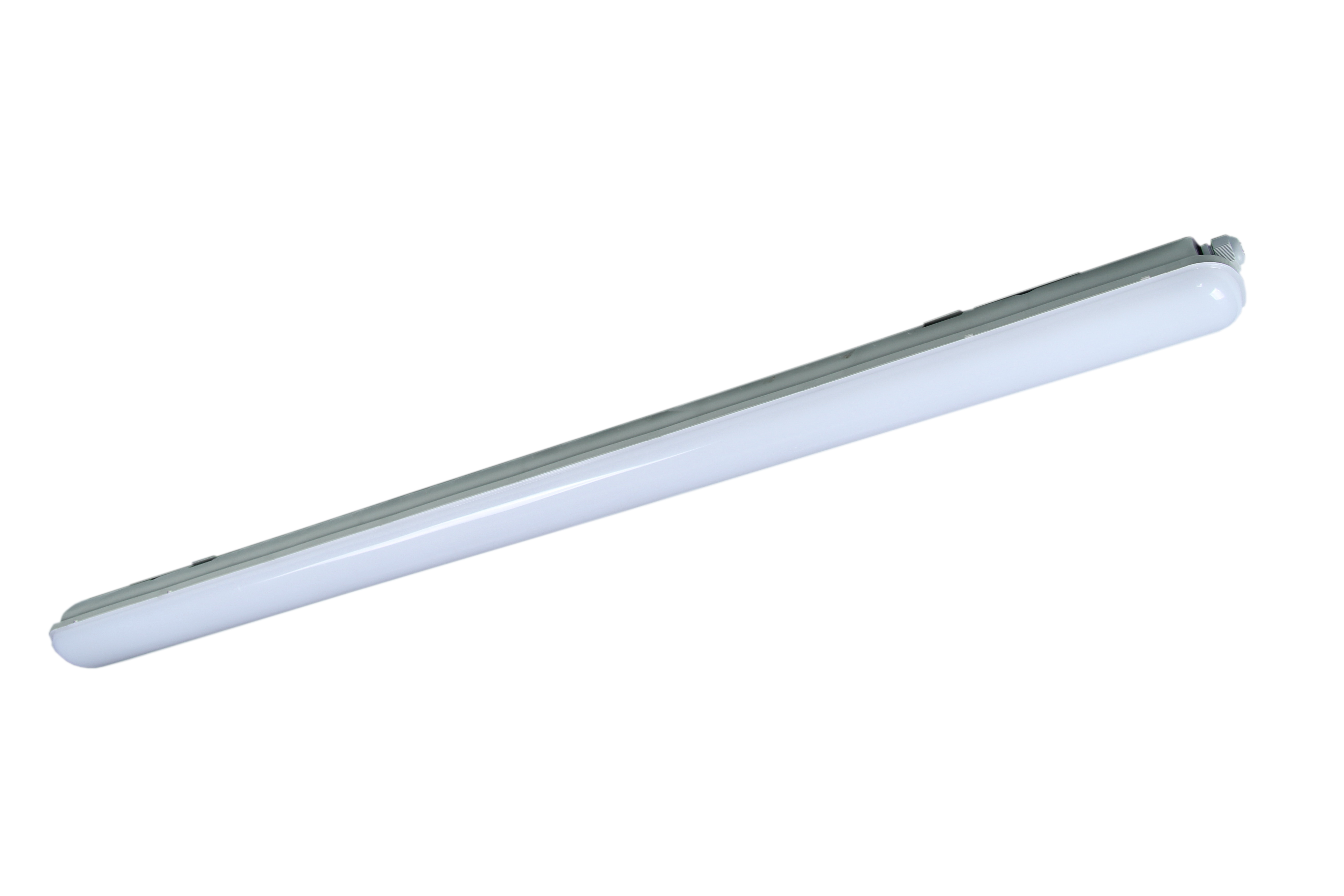 SL01-112.JPG